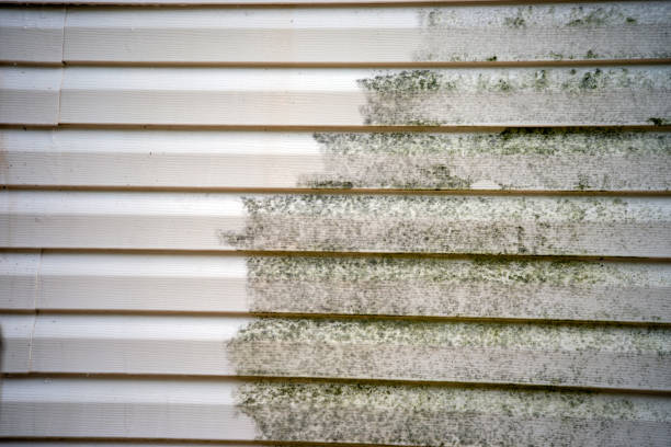 Best Carpet Removal and Disposal  in North Pembroke, MA